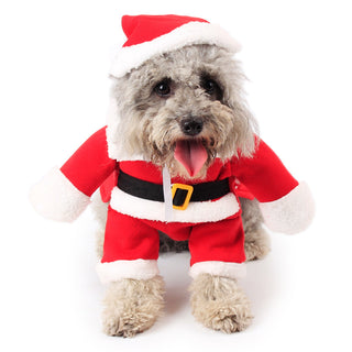 Holiday Pet Costume: Christmas Decoration Outfit for Dogs