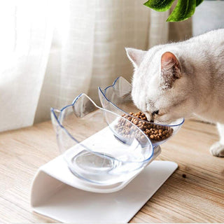 Non-Slip Double Cat Bowl with Raised Stand – 15° Tilted Elevated Cat Feeder